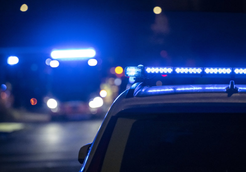 Foto: Oscar Olsson/TT